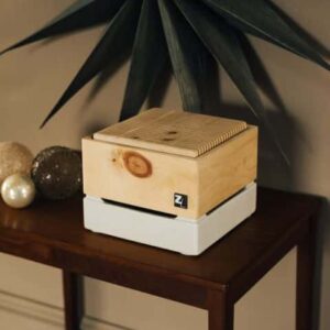 Zirbenlüfter mit Porzellanwasserbehälter für bessere Raumluft