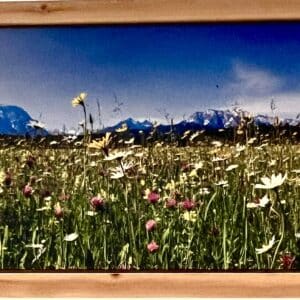 Wandbild Frühlingsblumen im Werdenfelser Land mit Rahmen aus Zirbenholz Breite 194 cm, Höhe 74 cm