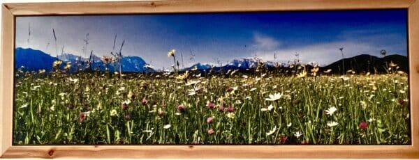 Wandbild Frühlingsblumen im Werdenfelser Land mit Rahmen aus Zirbenholz Breite 194 cm, Höhe 74 cm